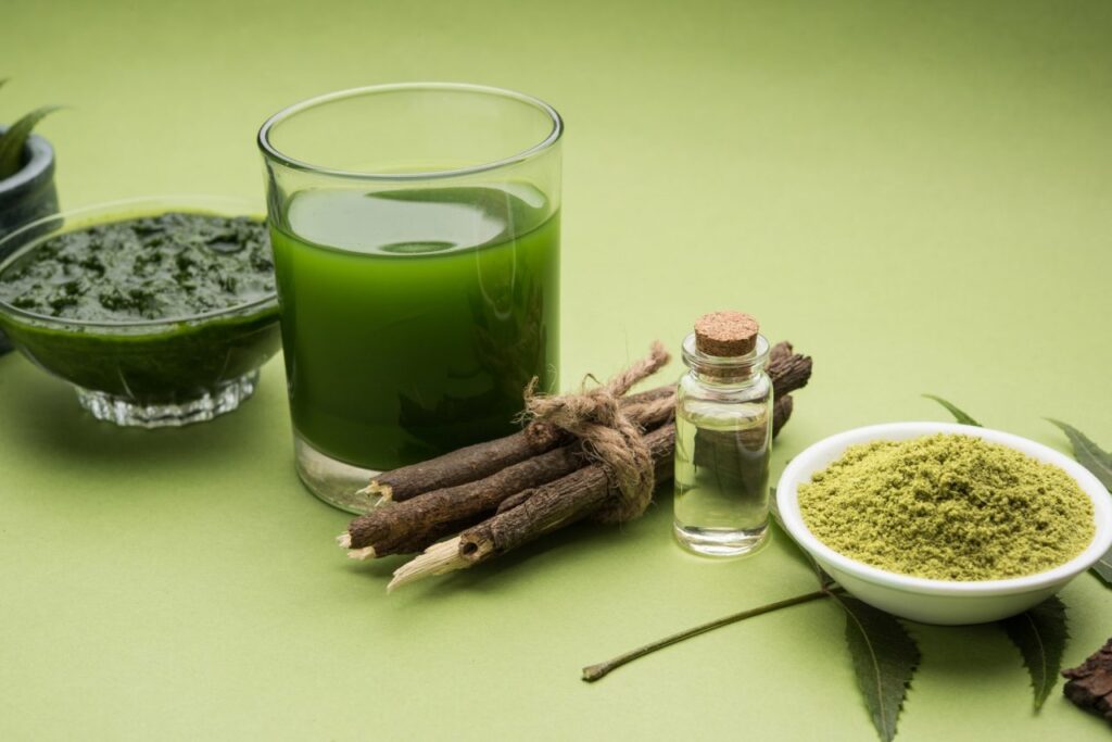 Healing with Ayurvedic Herbs | Top 5 Natural Remedies